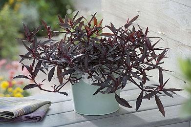 《师父》开发商打造的足球游戏《Rematch》在Steam上火了 B测超12万